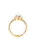 Lulu & Jane Ring aus Messing mit Zirkonia in gelbgold