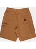 Santa Cruz Short "Carpenter Big Shorts" in Grün