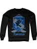 Harry Potter Pullover in Schwarz
