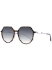 Ana Hickmann Frauen Sonnenbrille Rund Braun