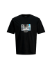 Jack & Jones T-Shirt 'Vester Picture' in schwarz