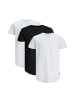 Jack & Jones T-Shirt Noa in Weiß / schwarz