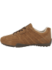 Geox Sneaker low U Snake A in braun