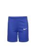 Nike Performance Funktionsshorts Team Basketball Stock in blau / weiß