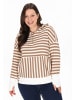 Usha Women Plus Size Hoodie in brown stripe