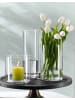 Ritzenhoff & Breker 3-tlg. Vasen-Set Leonie in in transparent