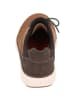 rieker Sneakers Low in brown/schoko/braun