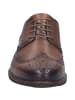 Josef Seibel Desmond 02 in cognac