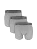 GreenBomb Trunk Basic in Heidekraut Grau