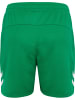 Hummel Sportshorts "Lead 2.0 Shorts" in Multicolor