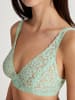 Calida Spitzen-BH in soft green