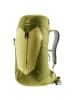Deuter AC Lite 16 - Wanderrucksack 56 cm (cherry-masala) in linden-cactus