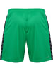 Hummel Hummel Shorts Hmlauthentic Multisport Herren Atmungsaktiv Schnelltrocknend in JELLY BEAN