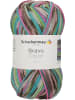 Schachenmayr since 1822 Handstrickgarne Bravo Color, 50g in Mineral Jacquard