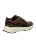 Xsensible Sportliche Schnürschuhe in Braun