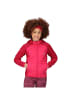 Regatta Hybrid Softshelljacke Kielder V in Beere