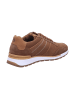 Bullboxer Sneaker Low in braun