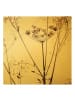 WALLART Leinwandbild Gold - Trockenblume im Lichtspiel in Braun