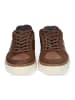 Bullboxer Sneaker in Cognac