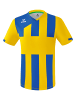 erima Unisex Erwachsene Siena 3.0 Trikot in gelb/new royal