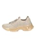 Steve Madden Sneaker Hellbeige