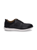 Josef Seibel SHOES "Finley 01" in schwarz