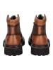 BLAUER USA Stiefelette Cognac