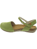 El Naturalista Wakataua Sandale Grün