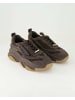Steve Madden Sneaker low in Braun