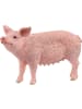 Schleich Schwein in Mehrfarbig ab 3 Jahre