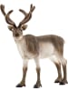 Schleich Rentier in Mehrfarbig ab 3 Jahre