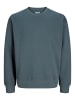 Jack & Jones Sweatshirt in Turbulence 1