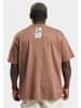 Rocawear T-Shirts in brown