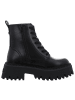 Buffalo Stiefelette in schwarz
