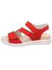 Legero in rot