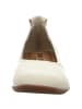 Josef Seibel Ballerinas in beige