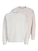 Jack & Jones Sweatshirt Barron in Creme / beige