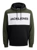 Jack & Jones Warmer Logo Print Hoodie Sweater Pullover JJELOGO in Grün