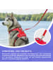 Reichstadt Reichstadt  RS Pets Führleine PVC 25RSP086 Red 5m
