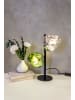 Licht-Erlebnisse Tischlampe (B)20 x (L)20 x (H)40 cm in Schwarz Weiß Grün