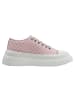 Dogo Freya - Big Steps Cat 41 in Rosa