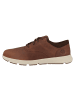 Timberland Sneaker low Parker Street Low Lace Up in braun
