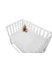 Pinolino Jersey-Spannbetttücher für Wiegen, Anstellbettchen und Kinderwagen im Doppe…