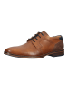 Bullboxer Businessschuhe in Cognac