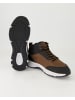 Geox Stiefeletten in Braun