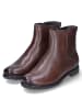 Ara Shoes Stiefeletten in Braun