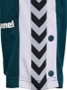 Hummel Short "Chevron Shorts" in Blau