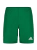 adidas Performance Trainingsshorts Squadra 21 in grün / weiß