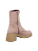 Wonders  Schnürstiefeletten in Beige