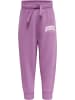 Hummel Hosen Hmlfast Apple Pants in ARGYLE PURPLE